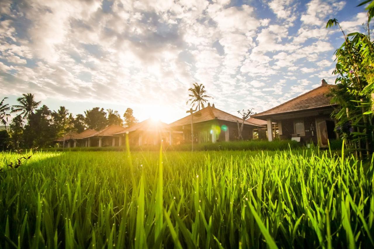 Sri Lestari Banyuatis Villa Munduk Eksteriør bilde